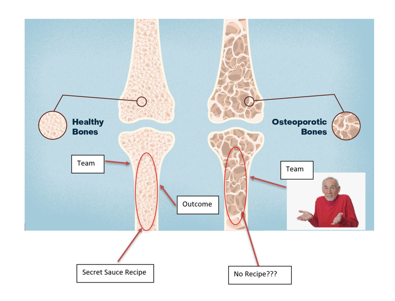 Healthy bones beside osteoporotic bones: the dense middle between Team and Outcome is the Secret Sauce Recipe, the hollow one has No Recipe